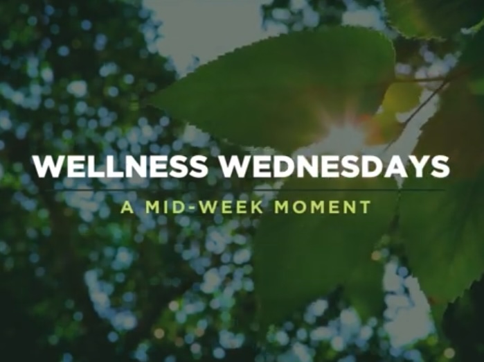  Wellness Wed